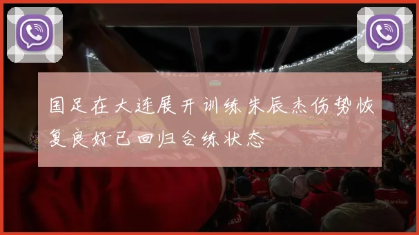 国足在大连展开训练朱辰杰伤势恢复良好已回归合练状态