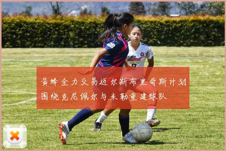 黄蜂全力交易迈尔斯布里奇斯计划围绕克尼佩尔与米勒重建球队