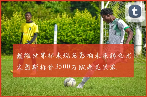 戴维世界杯表现或影响未来转会尤文图斯标价3500万欧尚无买家